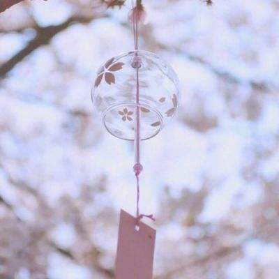 半岛综合app官网版登录